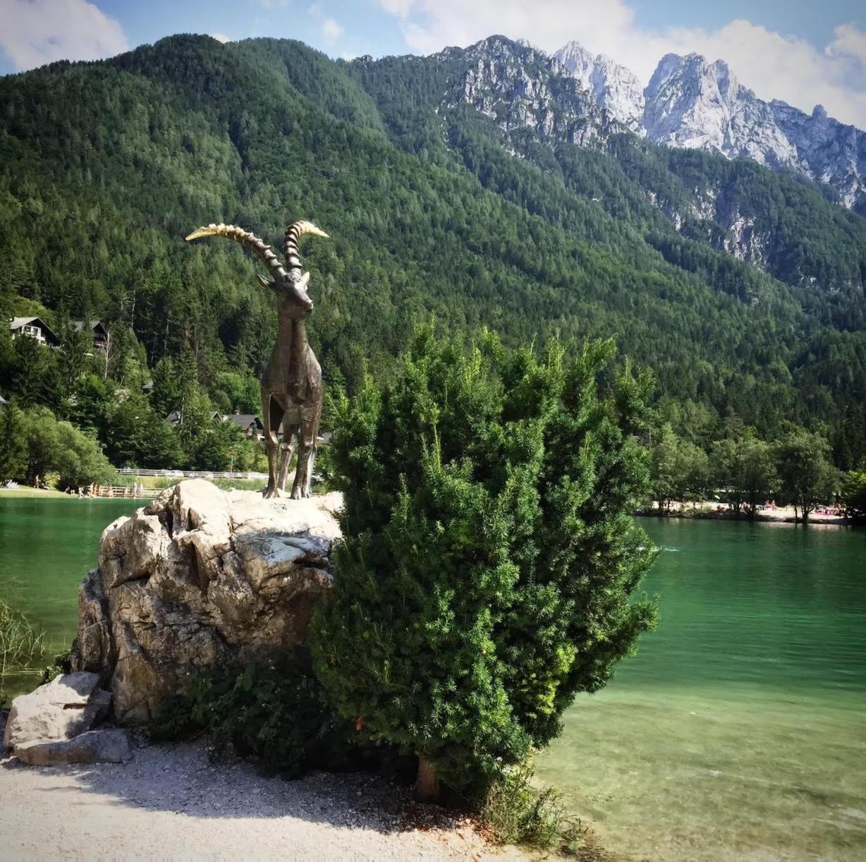 Ski Hut Smucka Kranjska Gora Exteriér fotografie